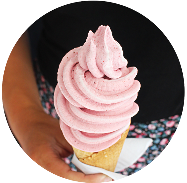 trendyblends ice cream 2016